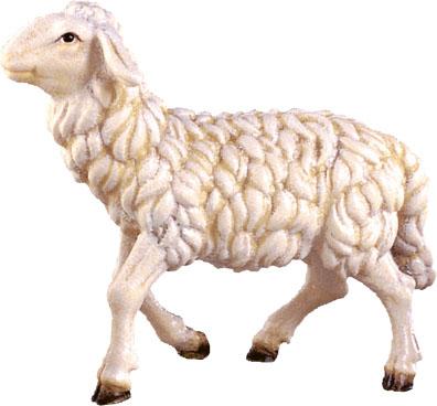 Schaf gehend
