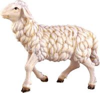 Schaf gehend